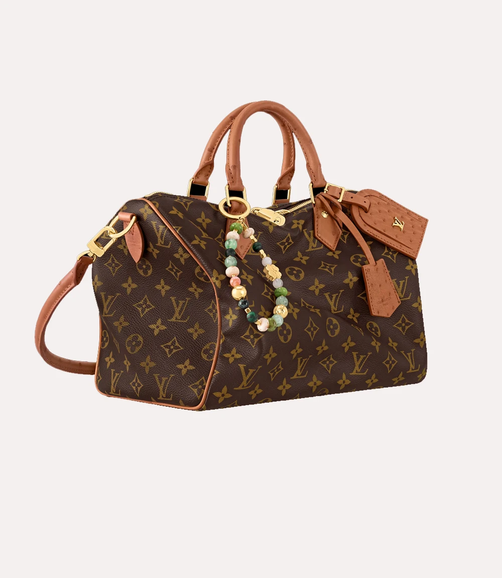 Louis Vuitton Speedy Shoulder Bag